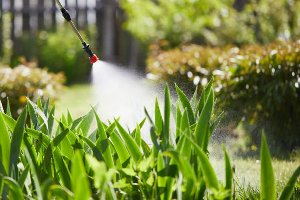 24/7 Emergency Cockroach Control experts in Georgetown, TX